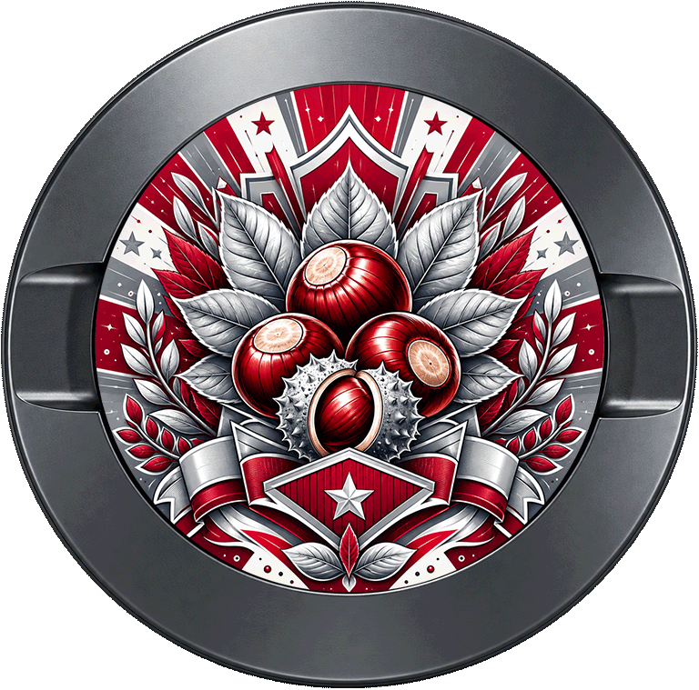 Ohio State Buckeyes
