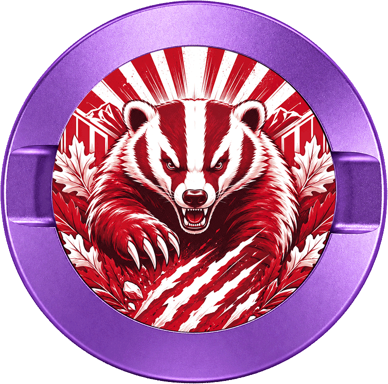 Wisconsin Badgers