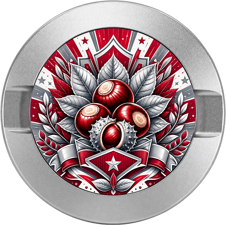 Ohio State Buckeyes