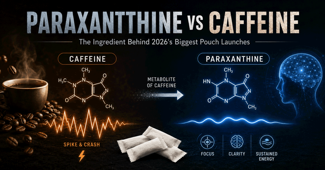 Paraxanthine vs. Caffeine: The Ingredient Behind 2026's Biggest Pouch Launches