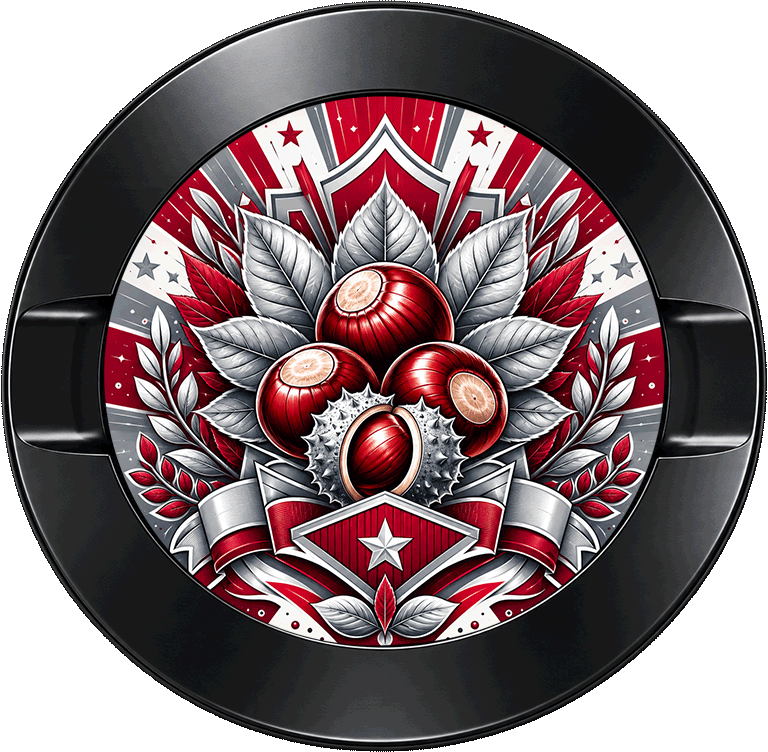 Ohio State Buckeyes