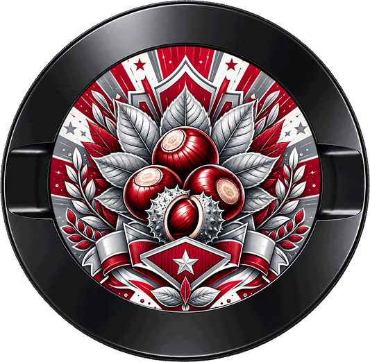 Ohio State Buckeyes