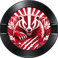 Wisconsin Badgers