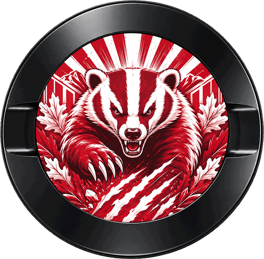 Wisconsin Badgers