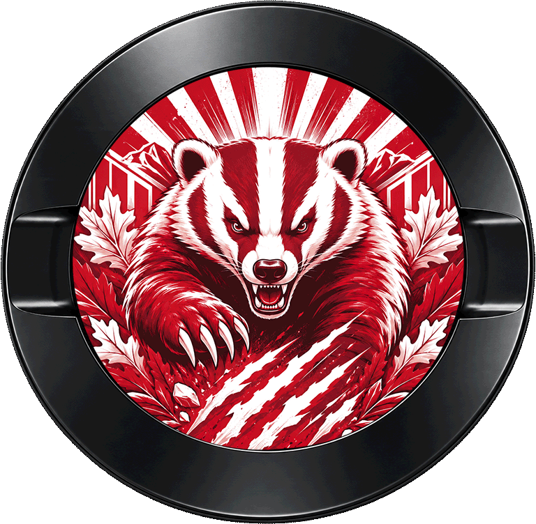 Wisconsin Badgers