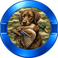 Fetch Duck Hunting