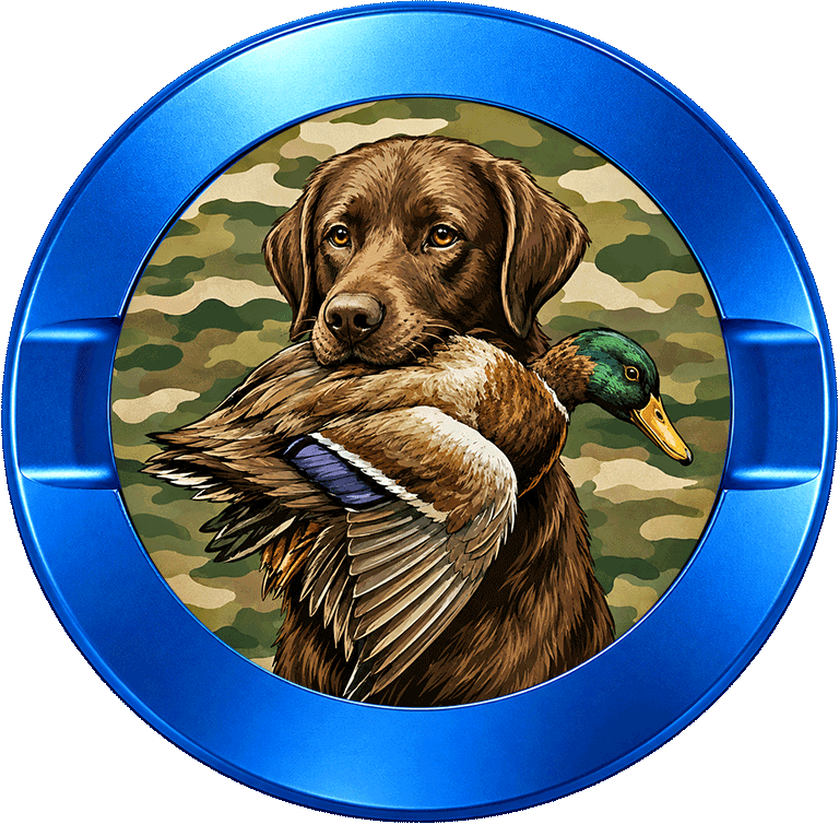 Fetch Duck Hunting