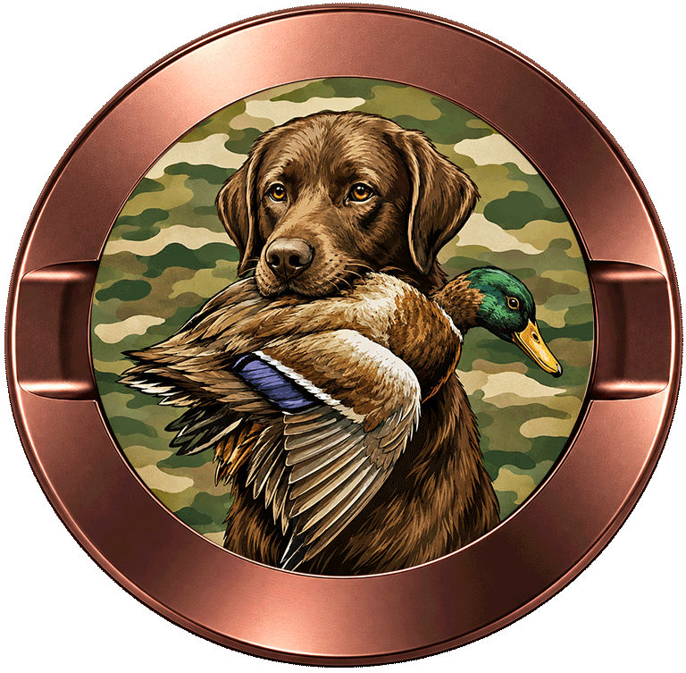 Fetch Duck Hunting