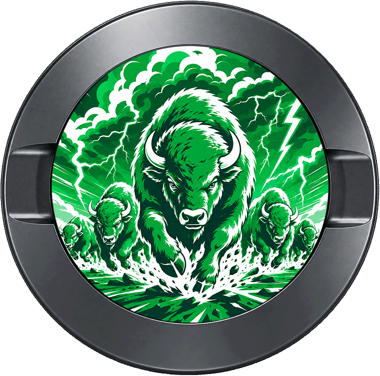 Marshall Thundering Herd