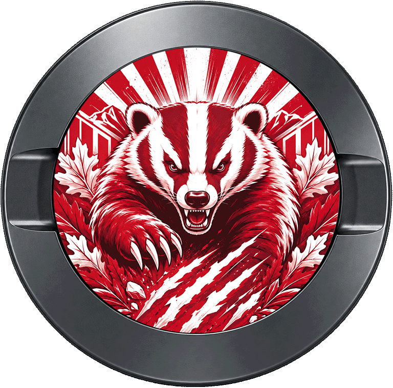 Wisconsin Badgers