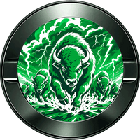 Marshall Thundering Herd