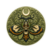 Death's Head Moth