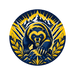 Michigan Wolverines