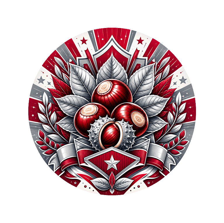 Ohio State Buckeyes