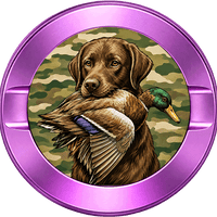 Fetch Duck Hunting
