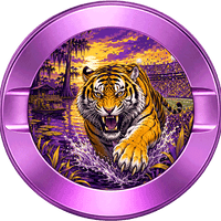LSU Tigers