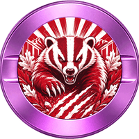 Wisconsin Badgers