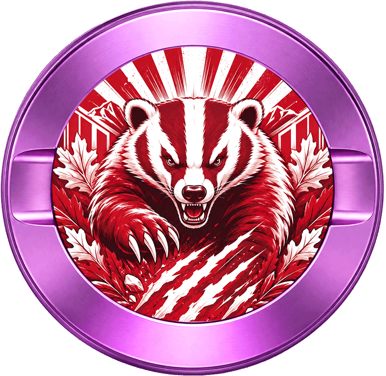 Wisconsin Badgers