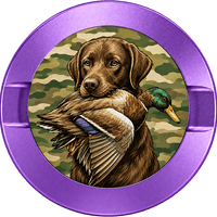Fetch Duck Hunting