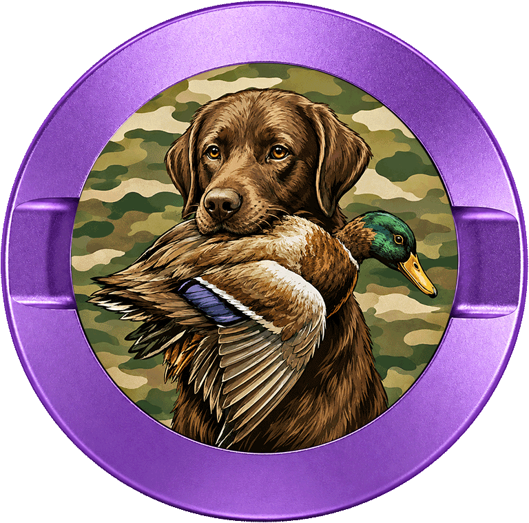 Fetch Duck Hunting
