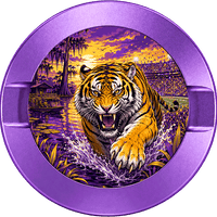 LSU Tigers