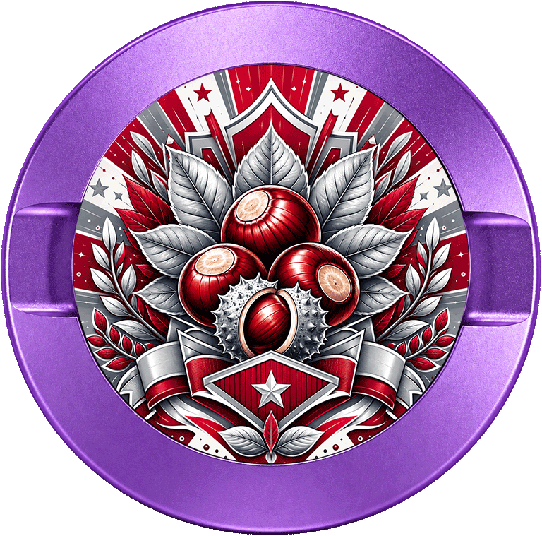 Ohio State Buckeyes