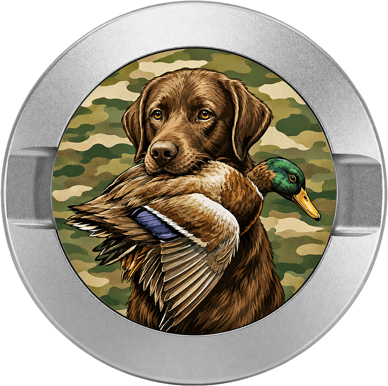 Fetch Duck Hunting